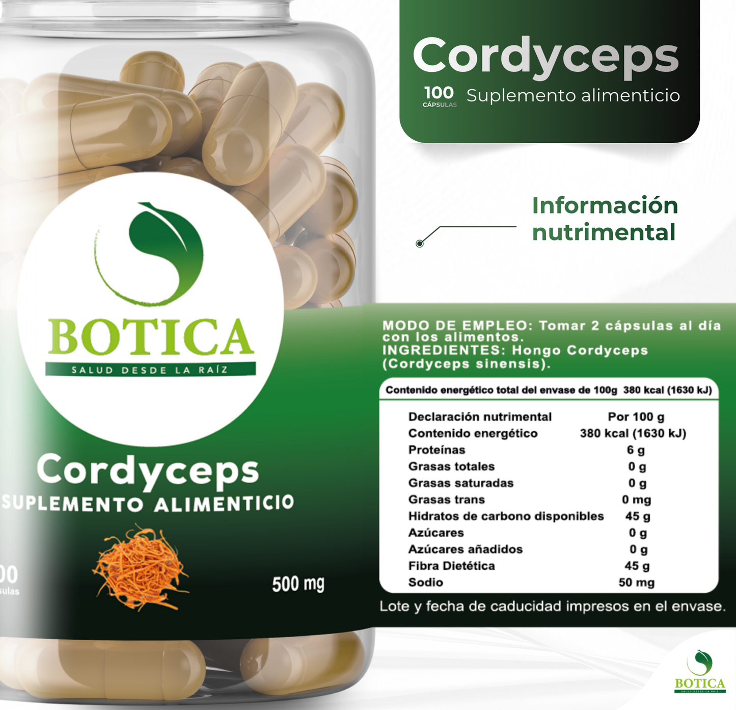 CORDYCEPS