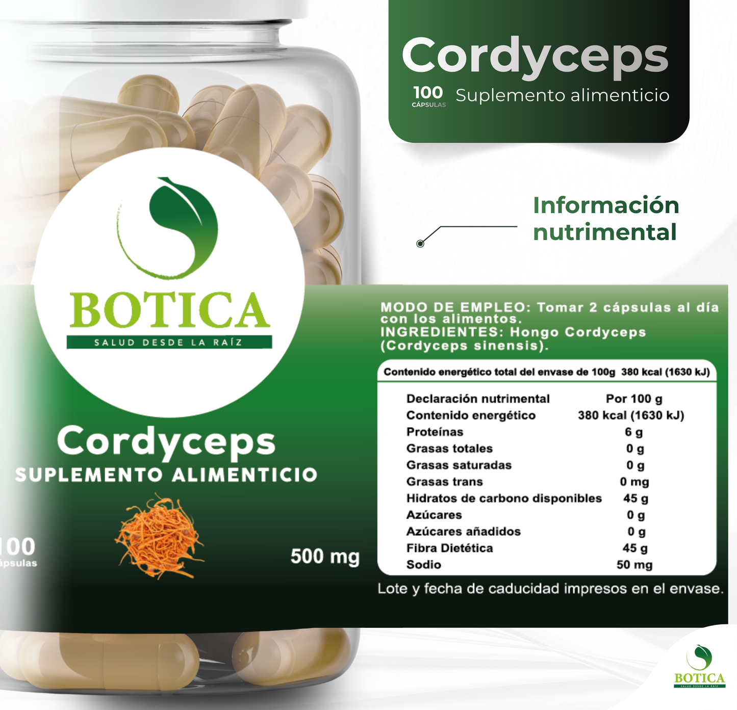 CORDYCEPS
