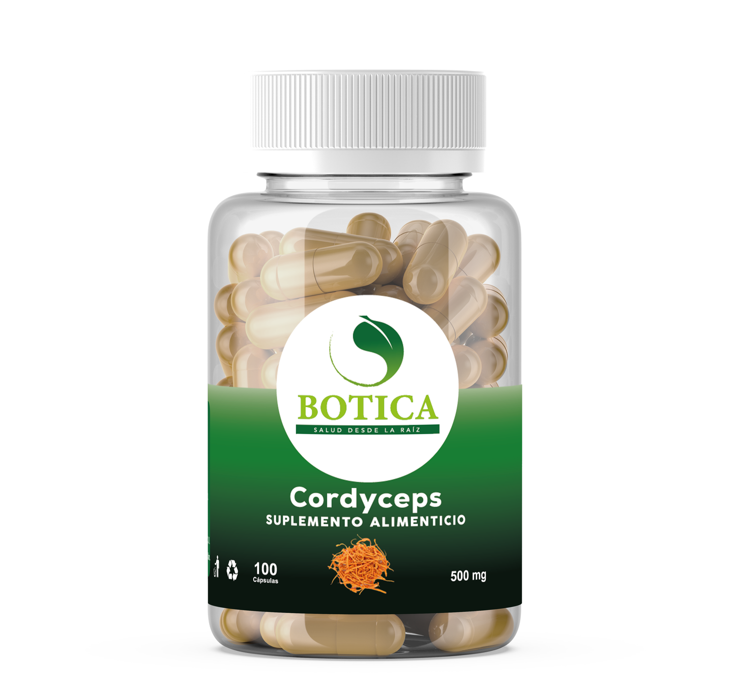 CORDYCEPS