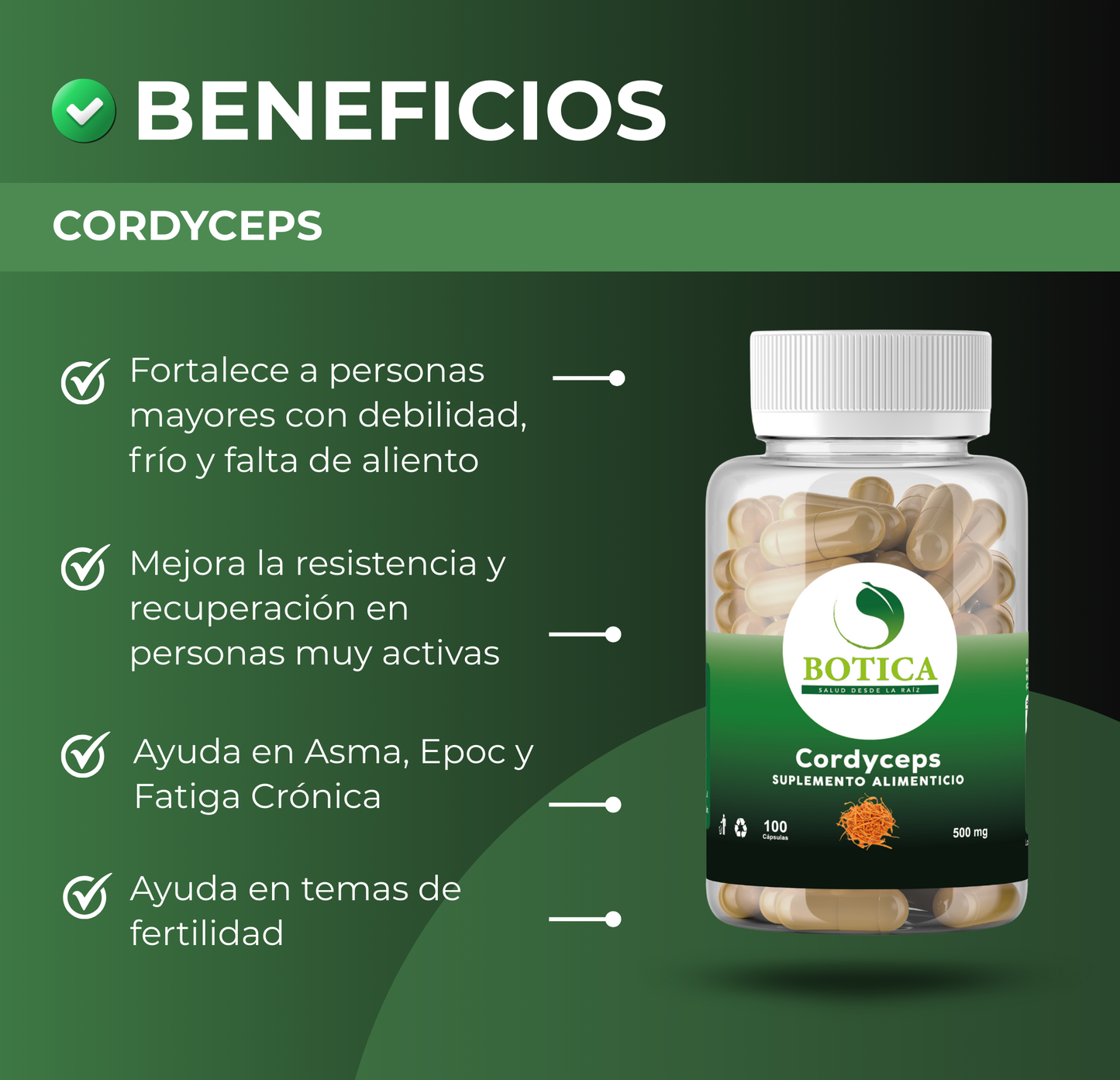 CORDYCEPS