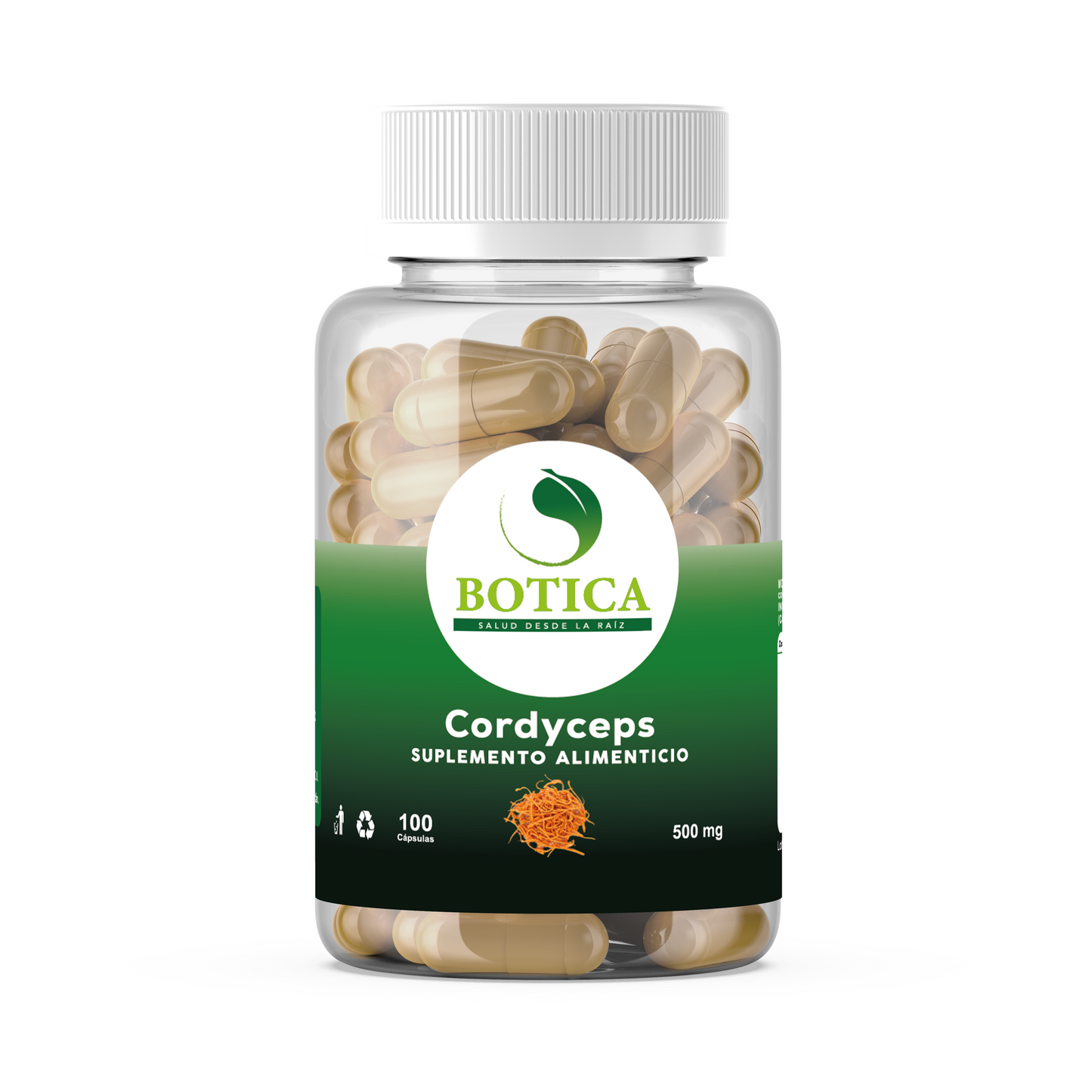 CORDYCEPS